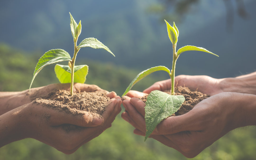 Déployons ensemble la transition écologique